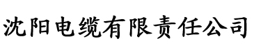 惩罚鞭打调教视频电缆厂logo